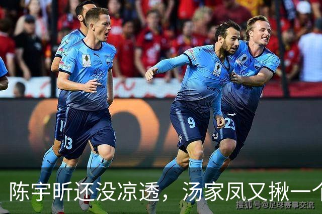 陈宇昕还没凉透，汤家凤又揪一个“精日”人员：竟然还是公司老板