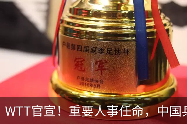 WTT官宣！重要人事任命，中国乒乓美女被提拔，上任总监岗位